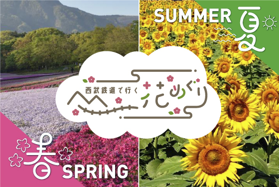 西武鉄道沿線に咲く季節の花々の開花状況や見ごろ、絶景スポットをご紹介しています。