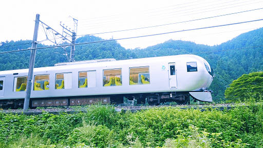 あしがくぼ＆よこぜ 夏の体験学習にあわせ一部の特急列車が芦ヶ久保駅に臨時停車！