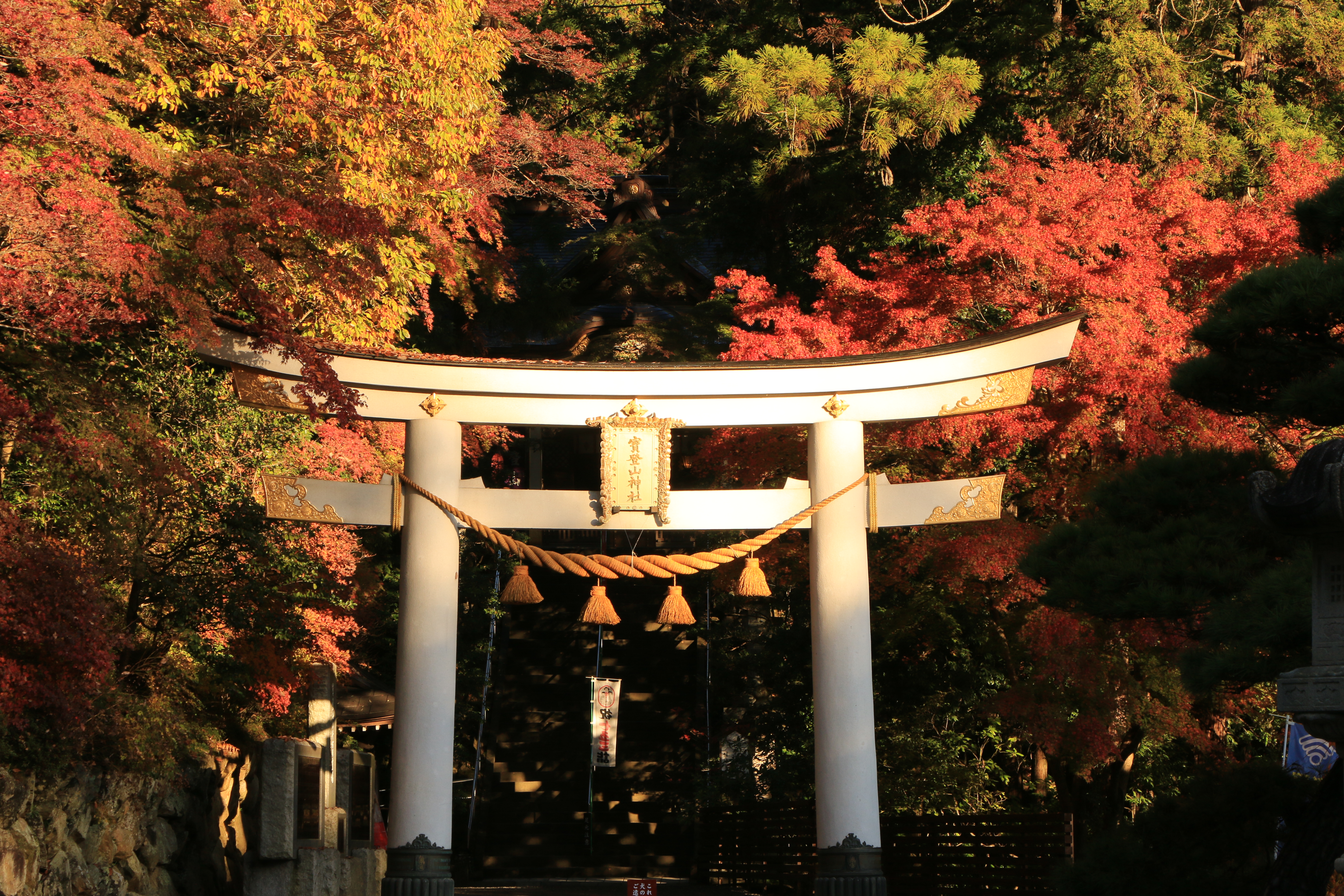 Autumn 2024