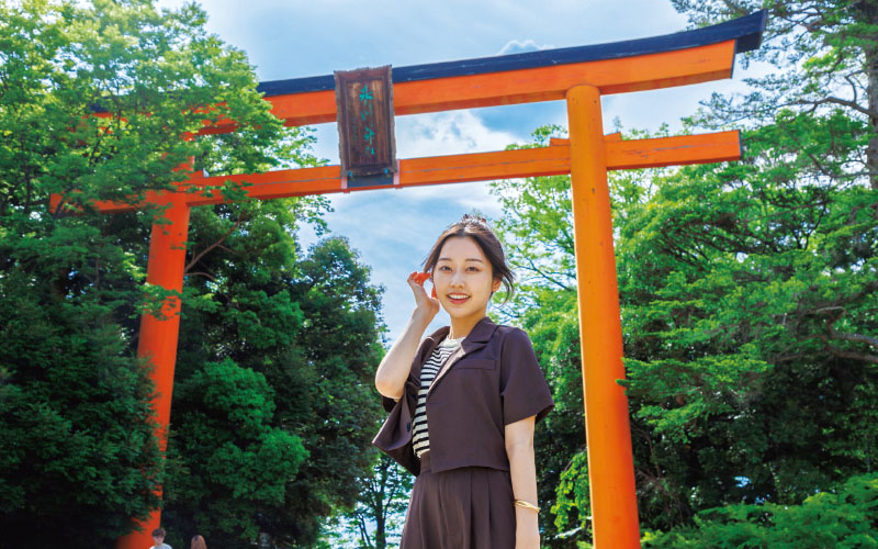 SPOT01 川越氷川神社