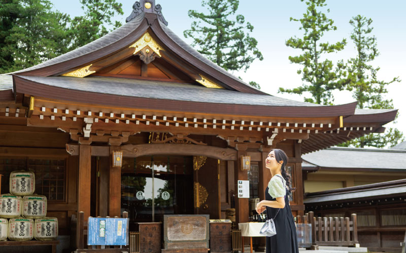 SPOT03 高麗神社(こまじんじゃ)
