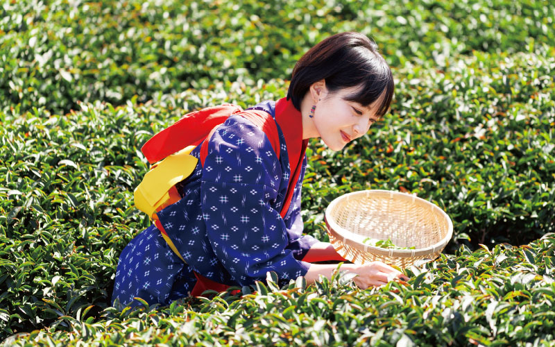 SPOT01 宮野園