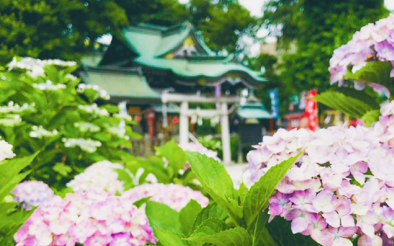 川越八幡宮