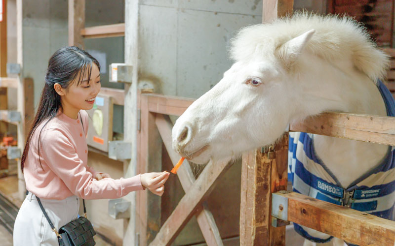 智光山公園 こども動物園