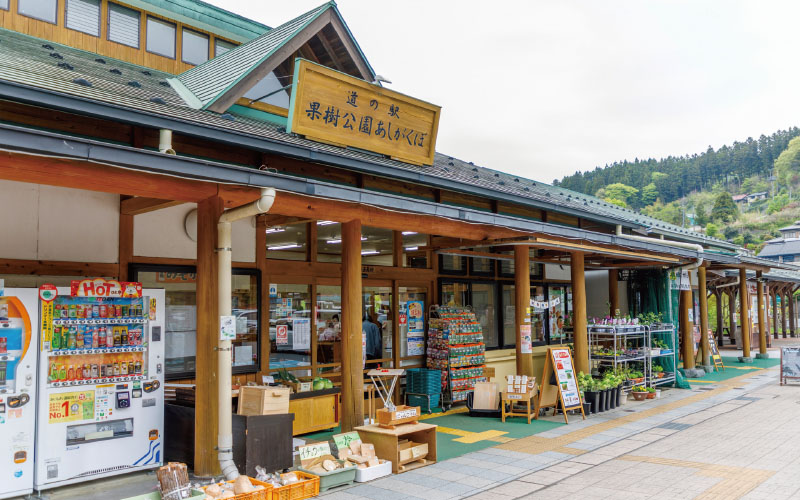 道の駅 果樹公園あしがくぼ
