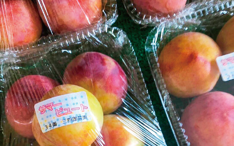 農産物直売所