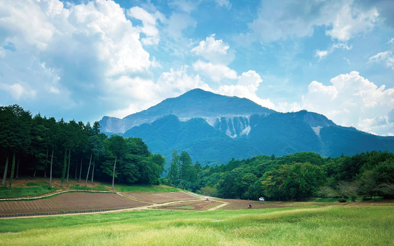 武甲山を眺める琴平丘陵ハイキング