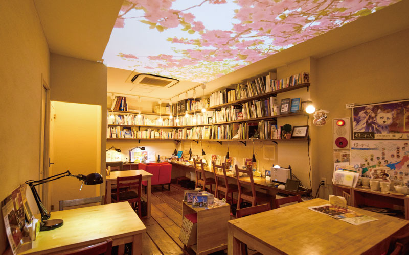 図鑑カフェ Fumikura