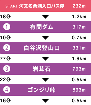 コース