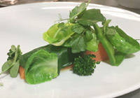 ヤシオマスのマリネ ラビゴットソース 緑の野菜仕立て
